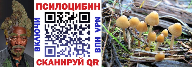 ОМГ ОМГ рабочий сайт  Ивантеевка  Галлюциногенные грибы GOLDEN TEACHER 