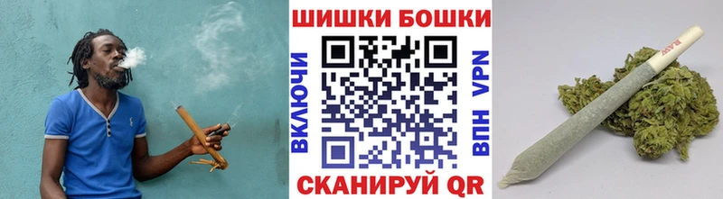 площадка Telegram Ивантеевка Каннабис ГИДРОПОН